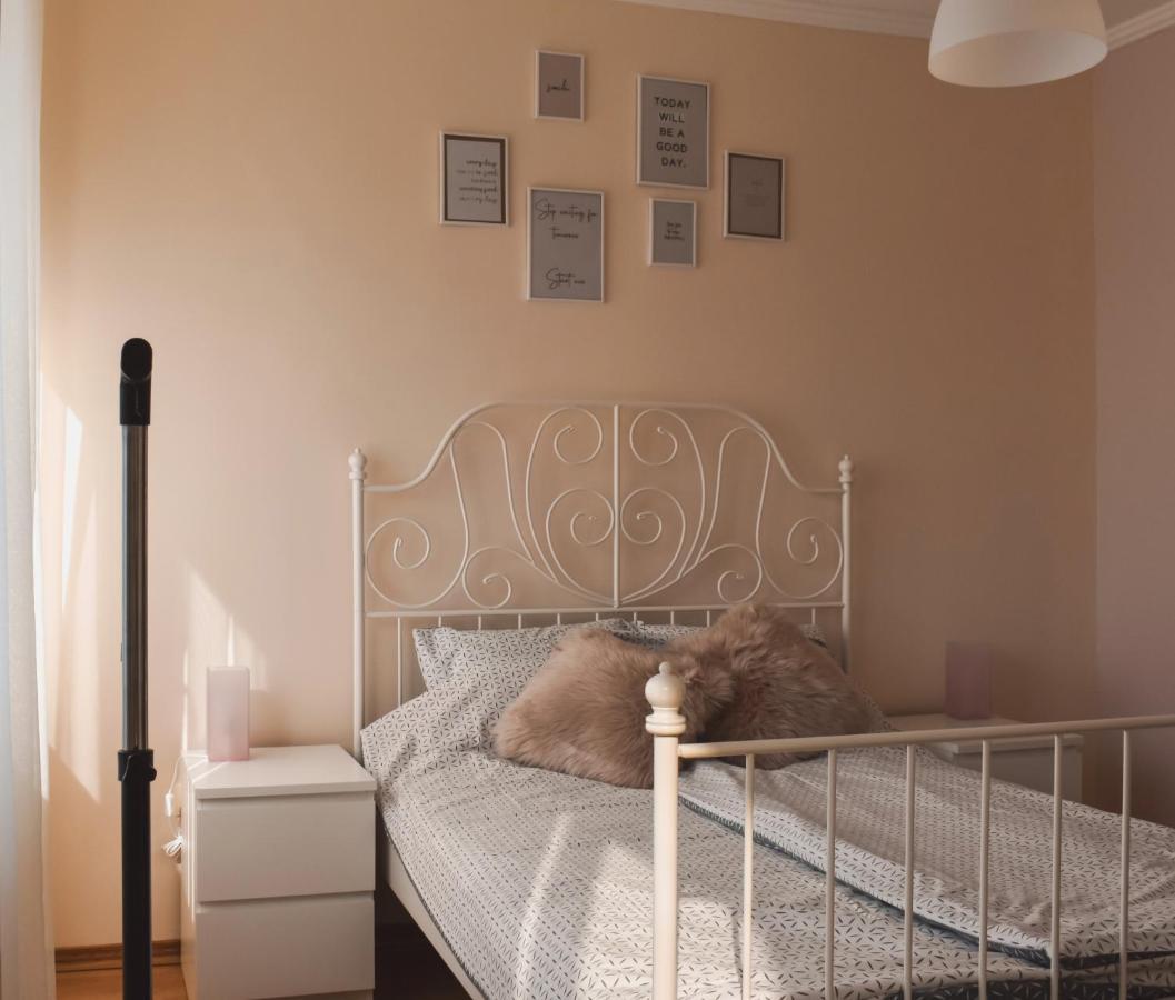 Apartment Orchid 021 노비사드 외부 사진